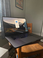 MacBook Pro (2019) i9 64GB ram
