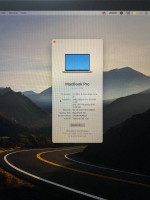 MacBook Pro (2019) i9 64GB ram