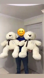 Bear soft toy