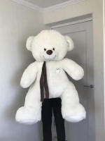 Bear soft toy