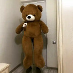 Bear soft toy