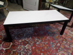 Rare Lane Mod Coffee Table