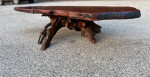 Mid Century Modern Root Base Coffee Table