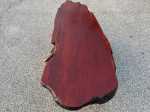 Mid Century Modern Root Base Coffee Table