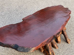 Mid Century Modern Root Base Coffee Table