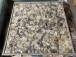 Shell Coffee Table, Glass Top, Ming Stainless Steel Legs