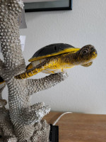 Turtle table lamp