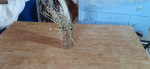 Farmhouse Table