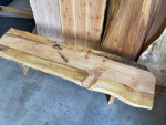 Ponderosa Pine Slab & Legs Coffee Table Bench 68” Long 16” Height