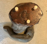 Live Edge Burl Wood Table 34"x26" w/Tree Trunk Base