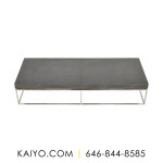 Restoration Hardware Marcus Coffee Table (Was 2112)