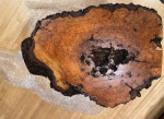 Rustic Burl Wood Coffee Table