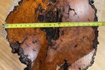 Rustic Burl Wood Coffee Table