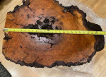 Rustic Burl Wood Coffee Table