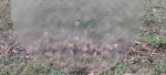 Patio Table Glass