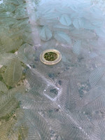 Large tempered glass umbrella hole table with leaf print