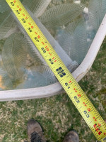 Large tempered glass umbrella hole table with leaf print