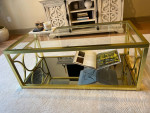 Gold coffee table