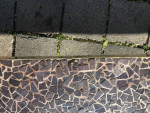 Modernist MCM Evelyn Ackerman style mosaic tile coffee table B13