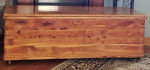 Coffee table/storage chest / toy chest on wheels