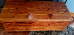 Coffee table/storage chest / toy chest on wheels