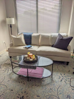 Elegant glass and metal coffee table