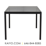 Room & Board Parsons Square Table (Was 669)