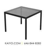 Room & Board Parsons Square Table (Was 669)