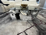 Sequoia Coffee Table