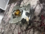 Sequoia Coffee Table