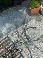 Patio Table and Chairs
