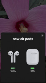 apple airpods