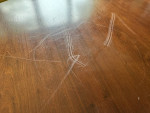 Mid Century Dining Table
