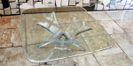 Lucite Butterfly Wings Coffee Table