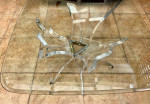 Lucite Butterfly Wings Coffee Table