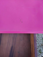 Pink Table