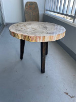 Genuine petrified wood table