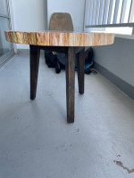 Genuine petrified wood table