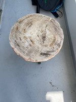 Genuine petrified wood table