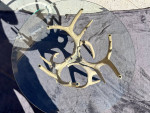 Deer Antler Glass Table