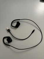 Beats earbuds
