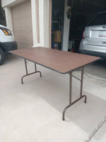 5 ft folding table regular $160 asking $60