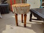 Woodsy Slab Stump End Table