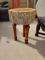 Woodsy Slab Stump End Table