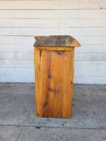 Rustic Trunk Wood Console Table