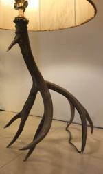 Antler table lamp