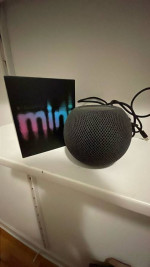 Airpod Mini