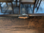 Rustic Industrial Coffee Table