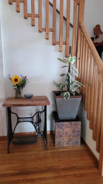 Live oak table on singer base