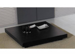 Modern Low Profile Coffee Table